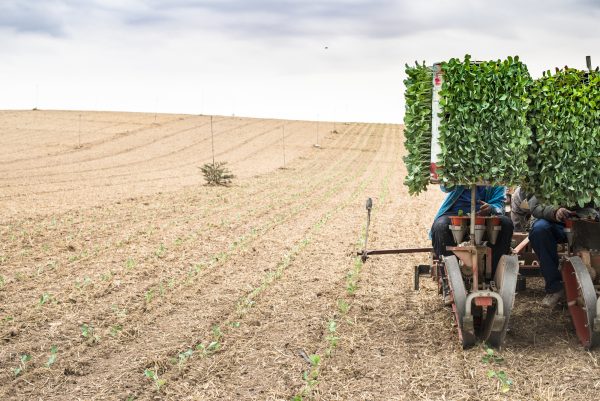 Abe&rsquo;s Unfinished Business: Japan&rsquo;s Agriculture Reform